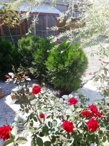 Hostal Guesthouse Chateau Zali