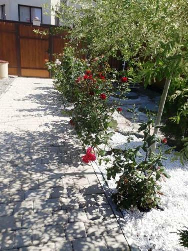 Hostal Guesthouse Chateau Zali