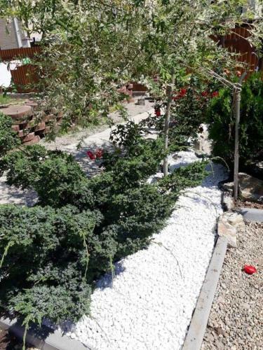 Hostal Guesthouse Chateau Zali