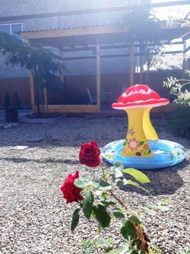 Hostal Guesthouse Chateau Zali