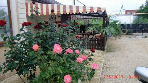 Posada Yakor Mini-hotel