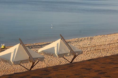 Hostal Villa Grape Guest House
