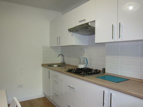 Apartment On Uritskogo