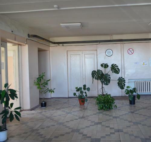 Hostel Platinum