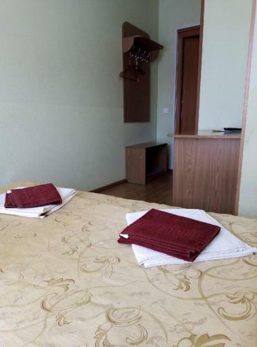 Hotel Tsentralny
