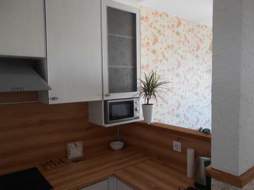 Apartment Chapaeva 44