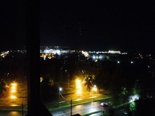 Apartment Panorama At Nevskiy
