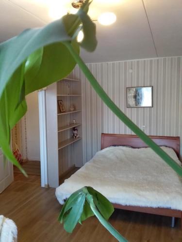 Apartamento ?????? ???????? ? ????? ?????? ?????????????
