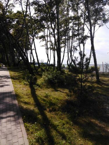 Apartments In Pine Park By The Sea