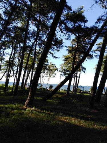 Apartments In Pine Park By The Sea