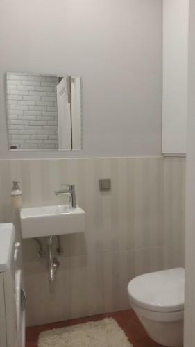 Apartment Comfort Plus