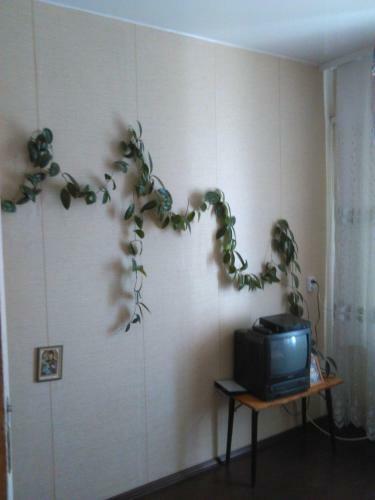 Hostal Guest House V Pomosh' Turistam