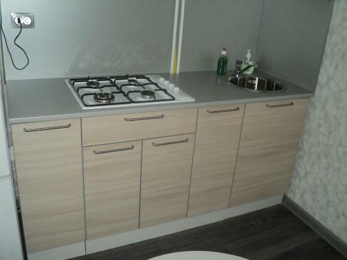 Apartment Pleskov