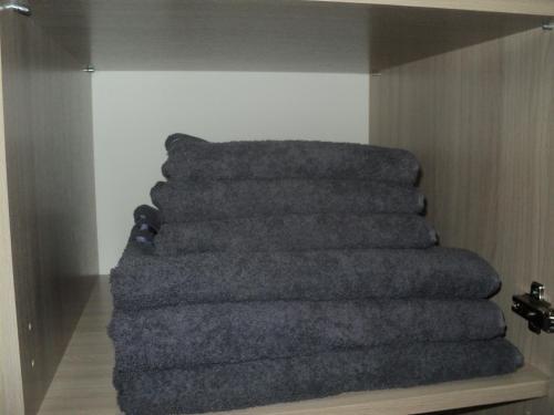 Apartment Pleskov