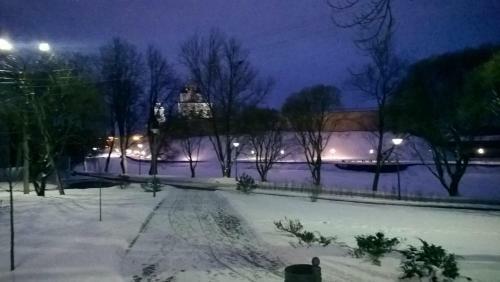 Apartment Pleskov