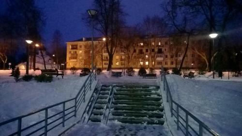 Apartment Pleskov