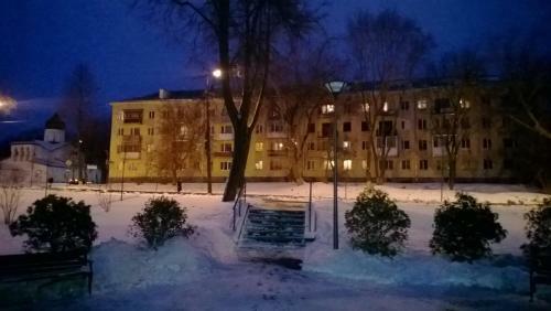 Apartment Pleskov