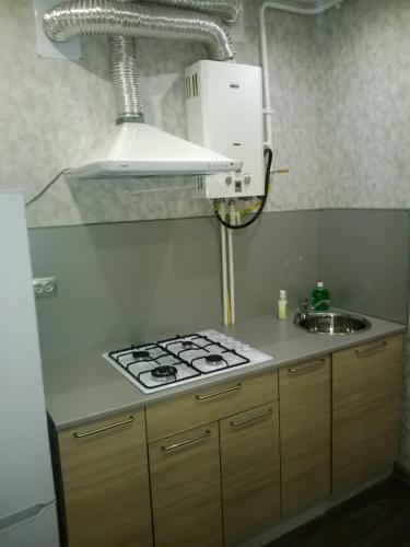 Apartment Pleskov