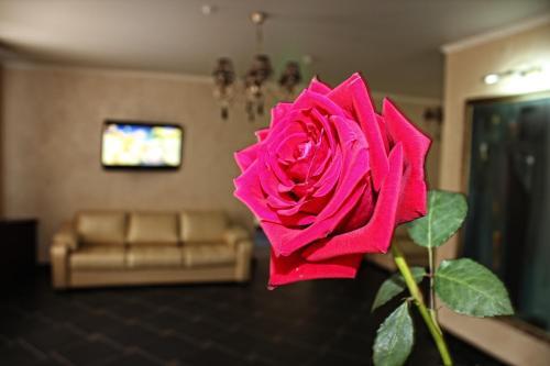 Hotel 903