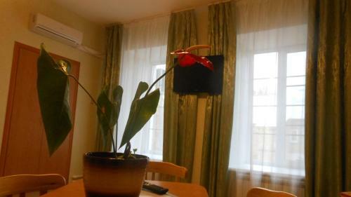 Tsarevna Lyagushka Hotel