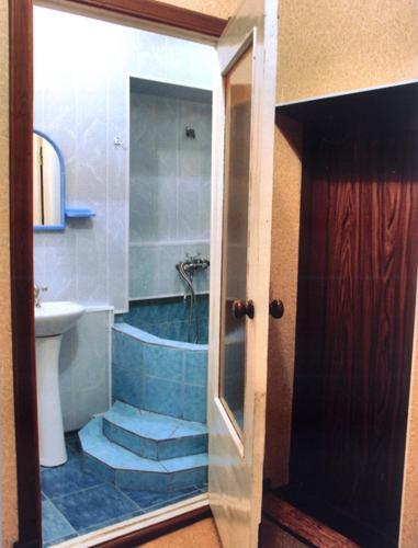 Apartment On Anisimova 9