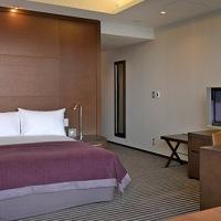 Hotel Hyatt Regency Hakone Resort And Spa