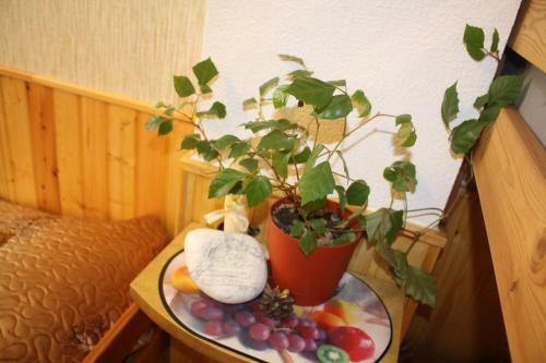 Hostal Tsar Gory Guest House