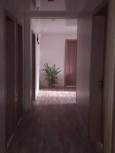 Hostal ??????? ??? ?????? ? "??????????? ??????????"