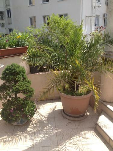 Apartamento Happy Time In Sochi