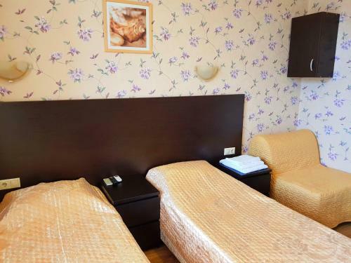 Hotel Gostinitsa Svetlana