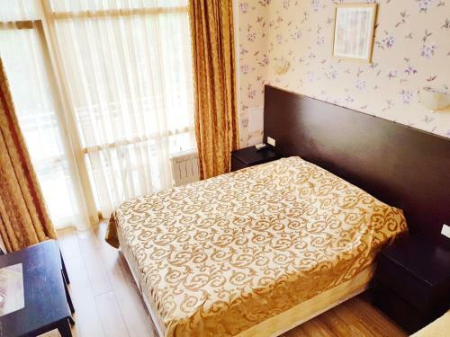 Hotel Gostinitsa Svetlana