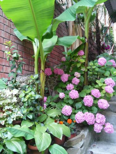 Hostal Guest House U Tatiany
