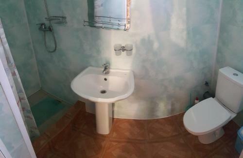 Hostal Tsvietushchii Sad