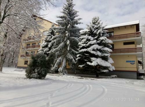 Dinamo Hotel