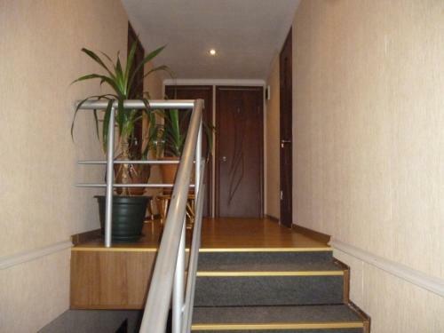 Hotel Vita