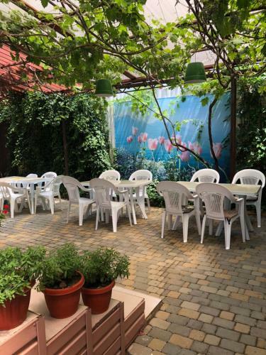 Hostal Gorny Vozdukh Guest House
