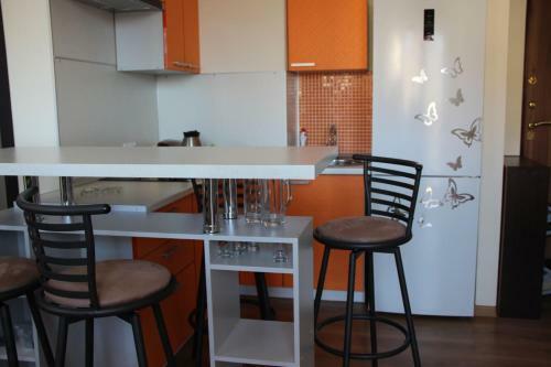Apartment On Lukomorya 1