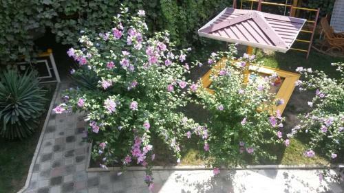Hostal Cruise Guesthouse