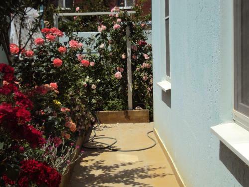 Hostal Guest House V Dolinie Roz