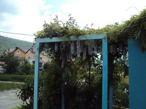 Hostal Guest House V Dolinie Roz