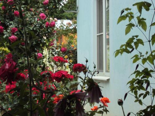 Hostal Guest House V Dolinie Roz