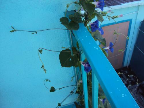 Hostal Guest House V Dolinie Roz