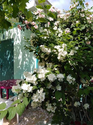 Hostal Guest House V Dolinie Roz