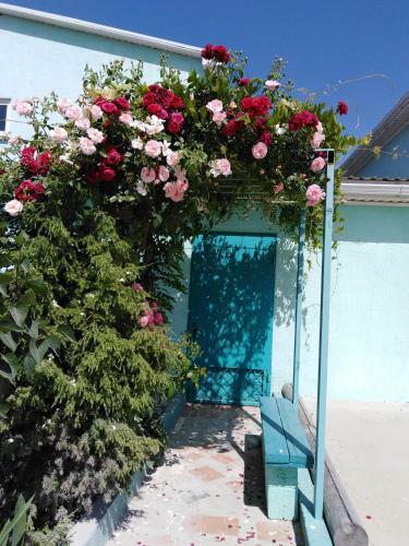 Hostal Guest House V Dolinie Roz