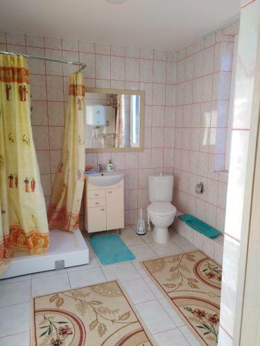 Hostal Guest House V Dolinie Roz