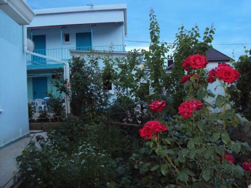 Hostal Guest House V Dolinie Roz