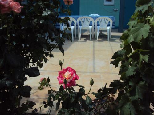 Hostal Guest House V Dolinie Roz