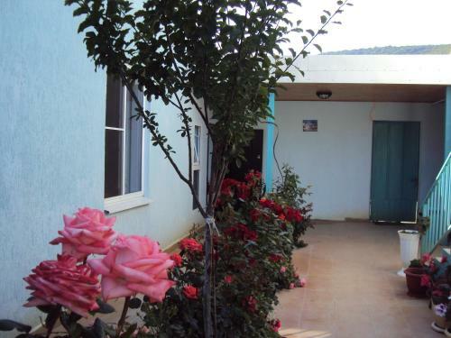 Hostal Guest House V Dolinie Roz