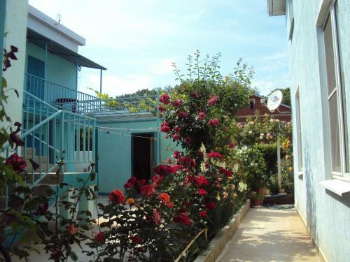 Hostal Guest House V Dolinie Roz