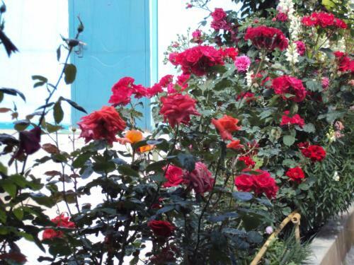 Hostal Guest House V Dolinie Roz